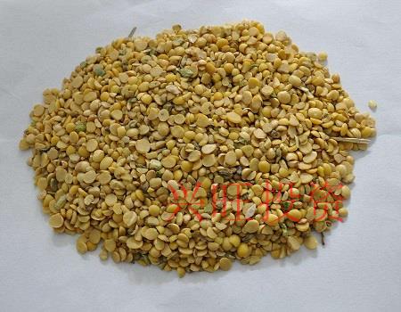 飼料貿易公司起名技巧，大氣的飼料公司起名方法